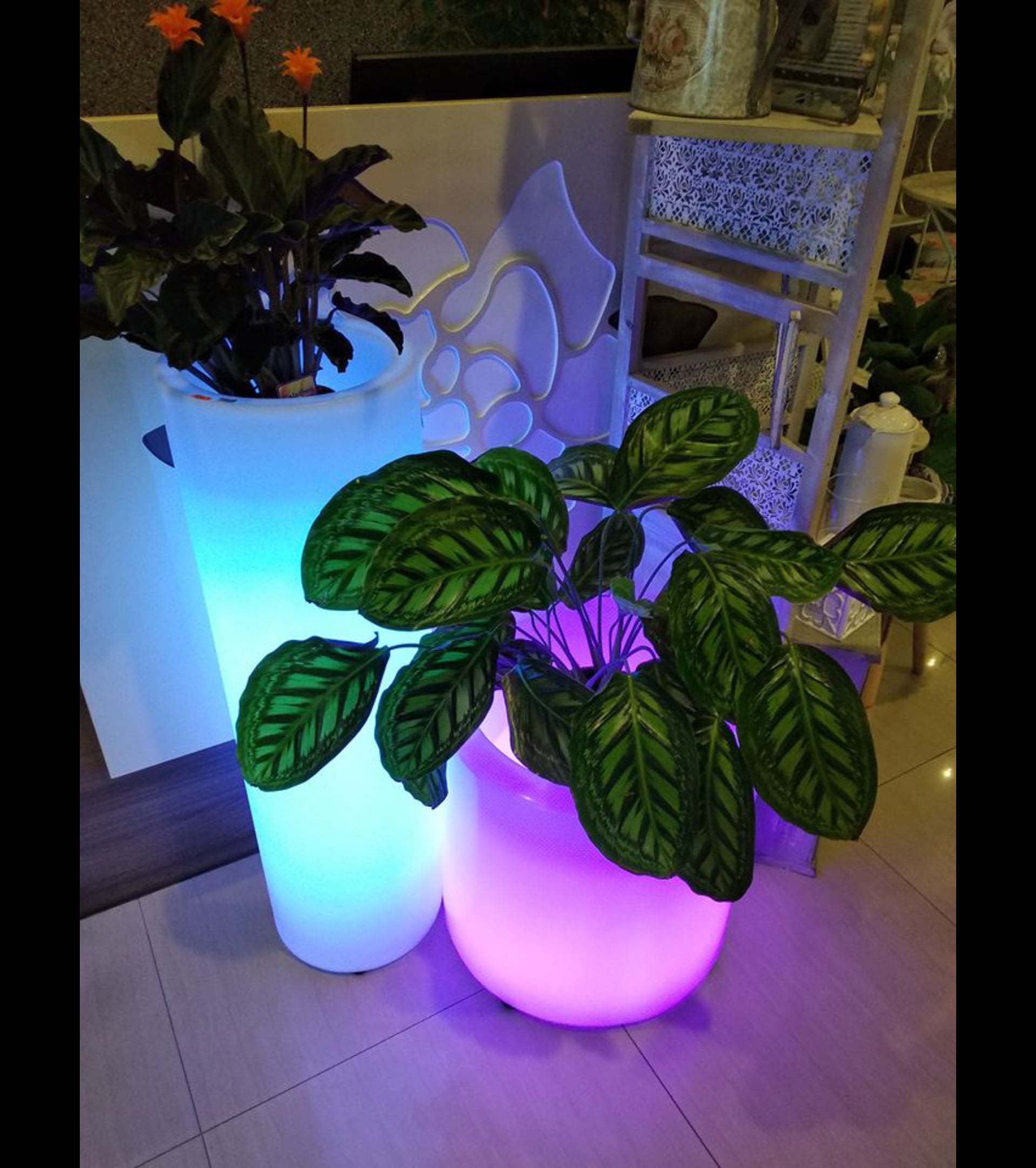 555 - LED Осветление
